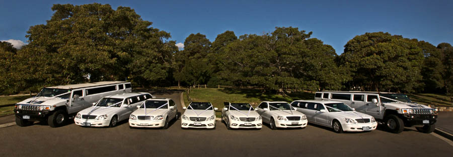 hens night limousines sydney - sydney bucks night limousine hire - kids limousine parties sydney